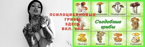 mdpv Беломорск