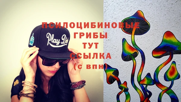 молекула духа Баксан