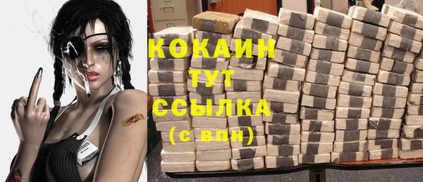 индика Белокуриха