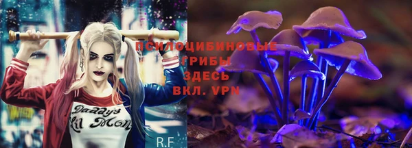 молекула духа Баксан